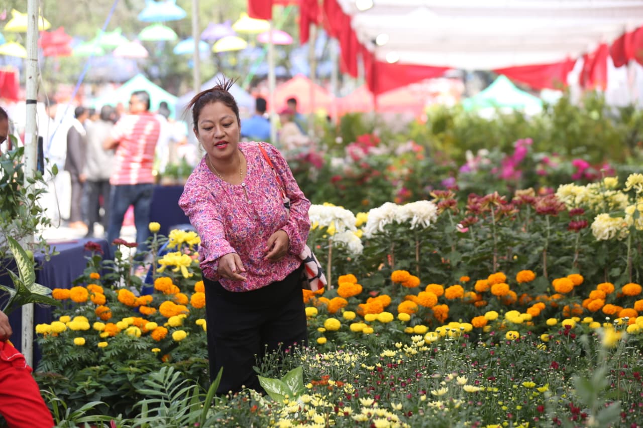 तेस्रो तिहार फ्लोरा एक्स्पो सुरु,७० बढी स्टल